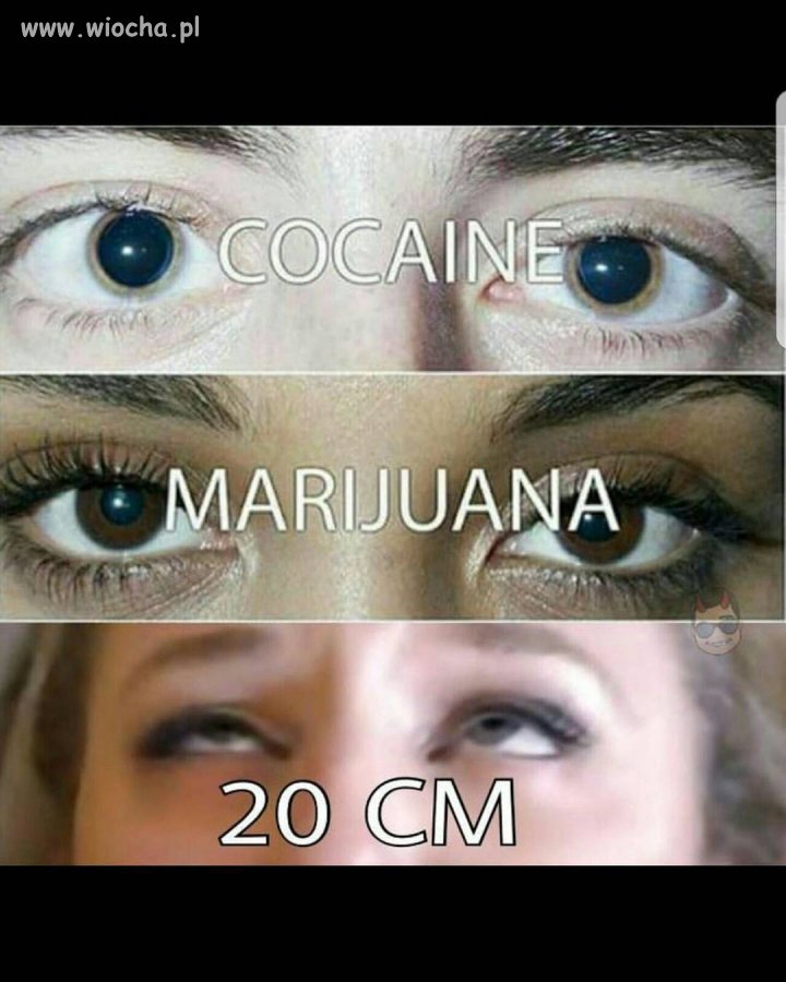 Także ten...