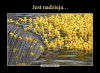 Jest nadzieja!