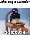 Pingu