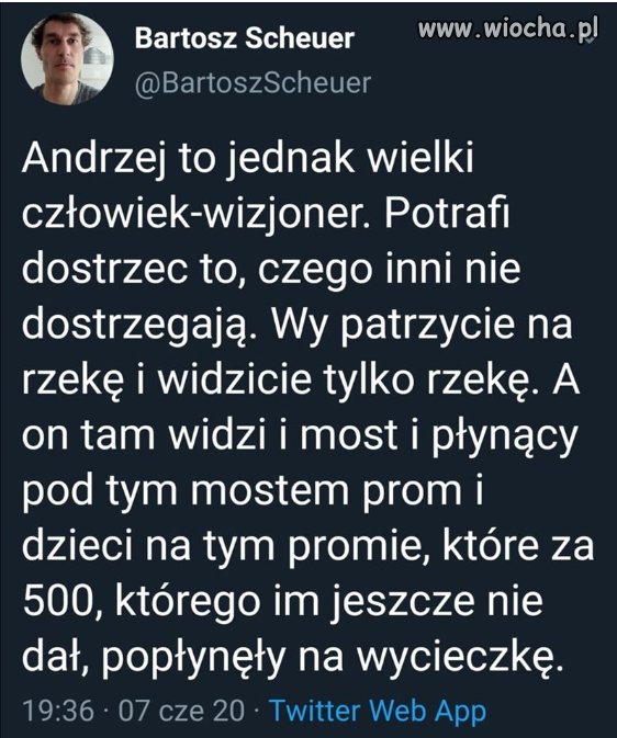 Wizjoner