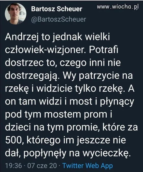 Wizjoner