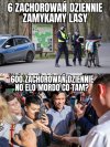 Tymczasem 