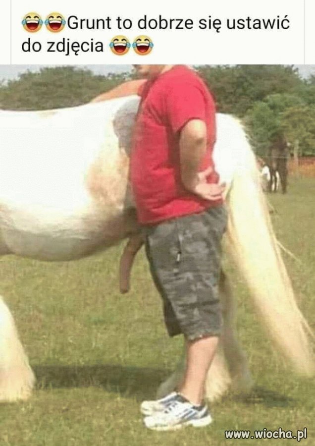 Takie tam z koniem