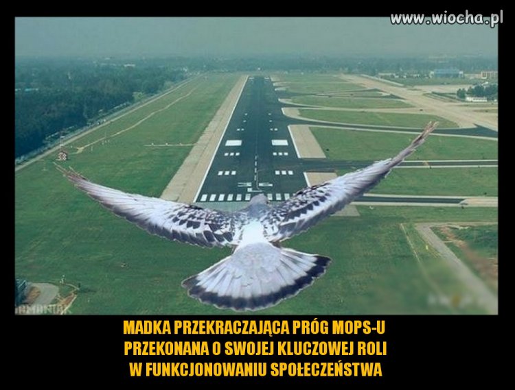 Tak to właśnie wygląda...