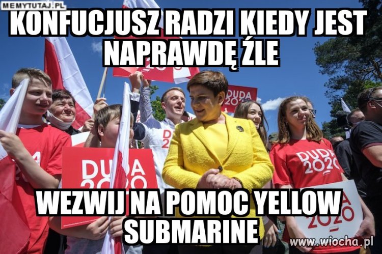 Desperacja dudy