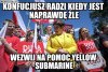 Desperacja dudy