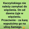 Zdecydowanie popieram. Przyda mu się takie ...
