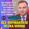 Żenada