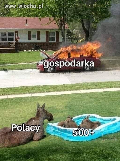 Dobra zmiana