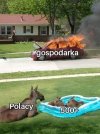 Dobra zmiana
