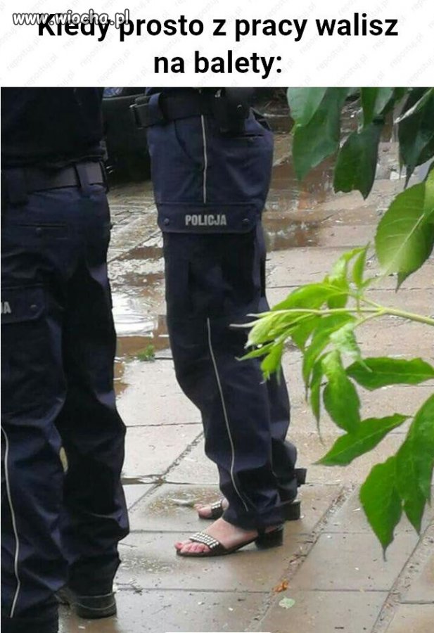 Po prostu życie