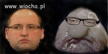ZNAJDŹ RÓŻNICĘ
