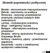 Poprawność 