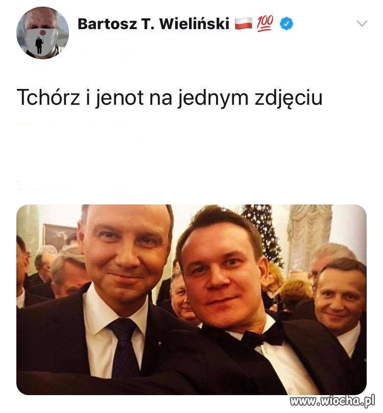 Taki mały zwierzyniec ...