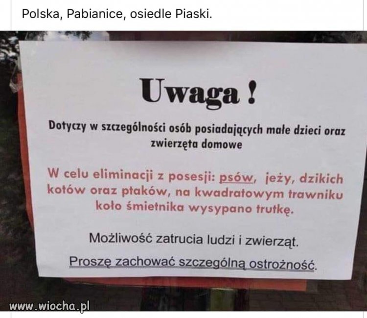 Polska, Pabianice, osiedle Piaski.