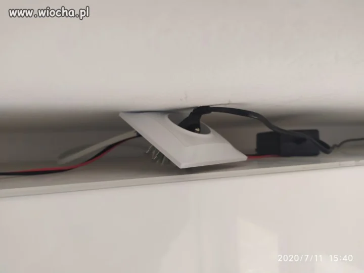 Janusz elektyki