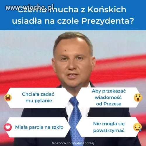 Bo to Końska mucha była