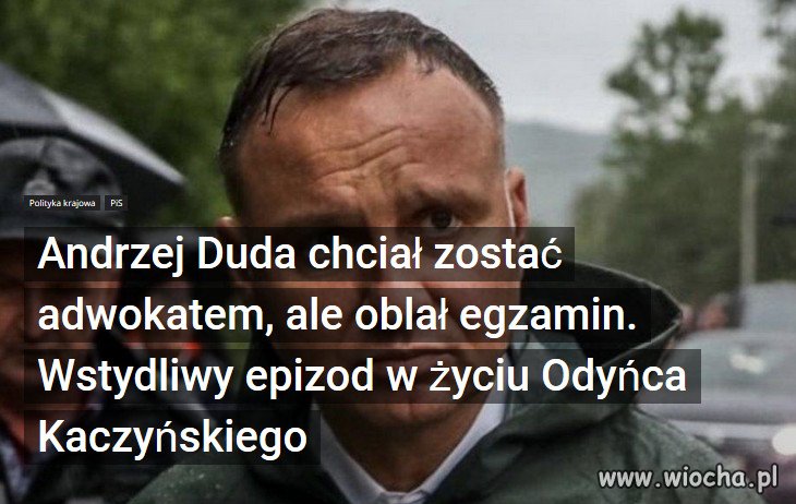 Mierne kadry PiS. Andrzej Duda nie nadaje się na aplikanta