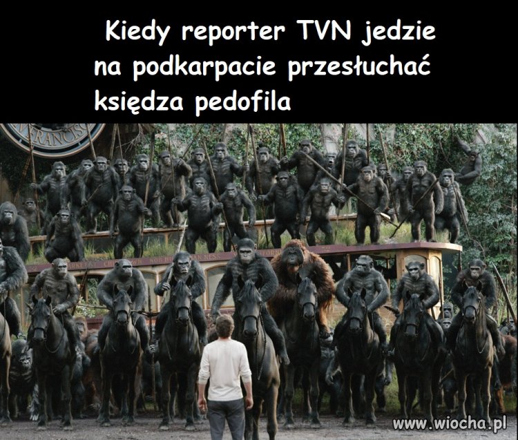 70 procent