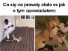 Dużo w tym prawdy