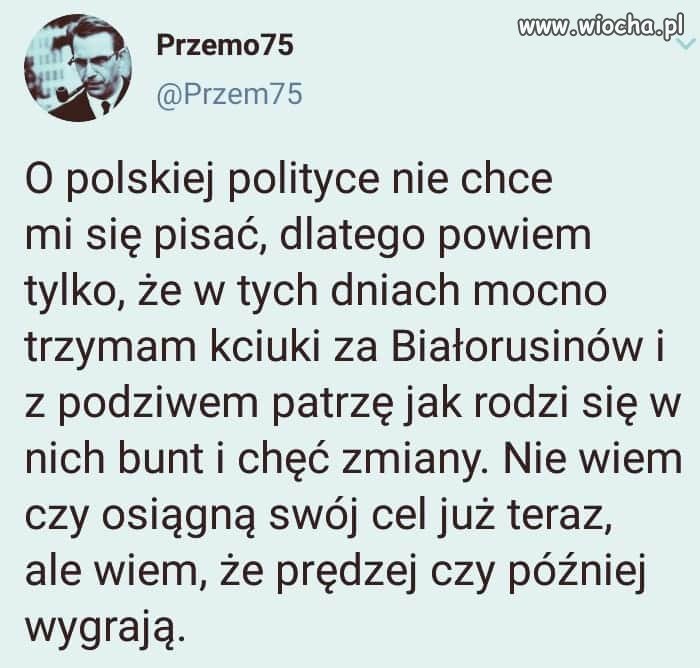 Polska polityka? 