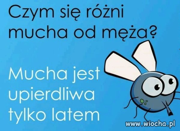 A żony 