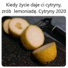 Cytryny 2020 