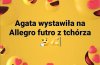 Ktoś chętny ?
