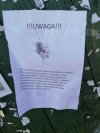 Tablica ogłoszeń w Żywcu 