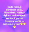 Wrak poszedł 