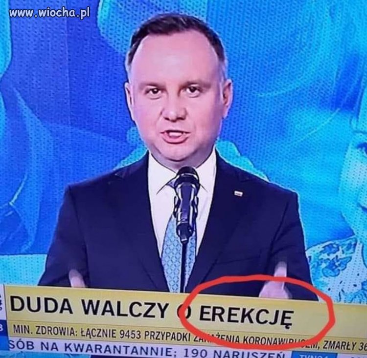 Niech pan będzie dzielny panie budyniu.