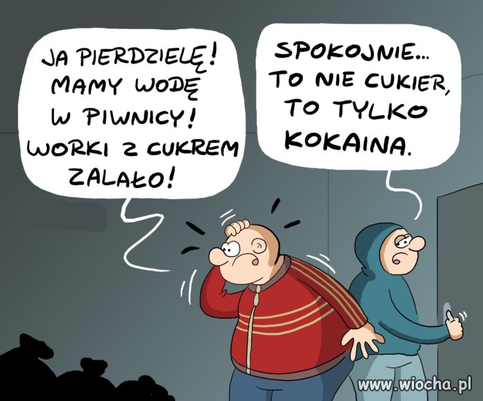 Tytuł zbędny