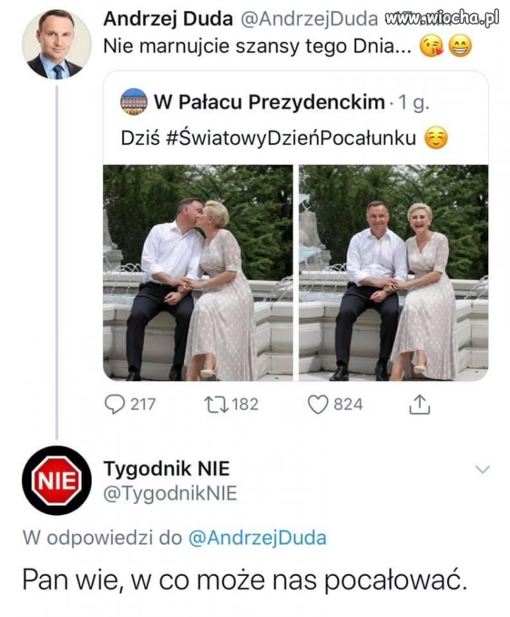 Kochany uszaty