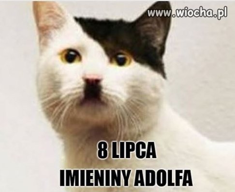 8 lipca - imieniny Adolfa