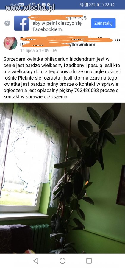 Ekskluzywne roślinności