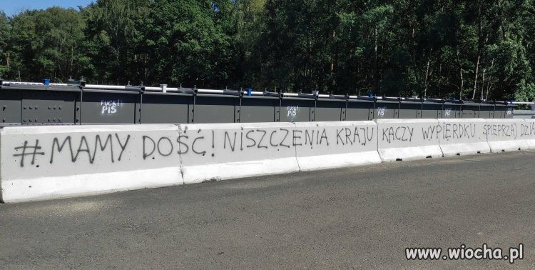 Kaczy wypierdku 