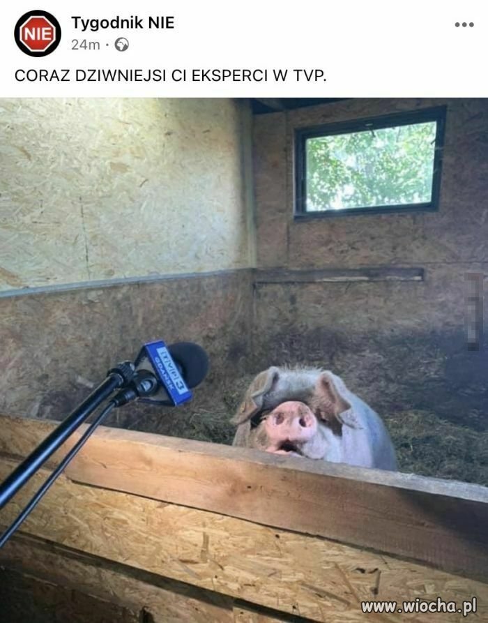 Poziom