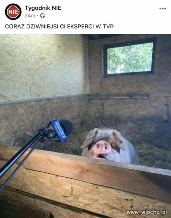 Poziom