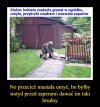 Wszędzie krzyczą żeby wszystko dezynfekować 