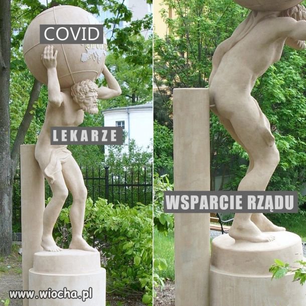 Wsparcie