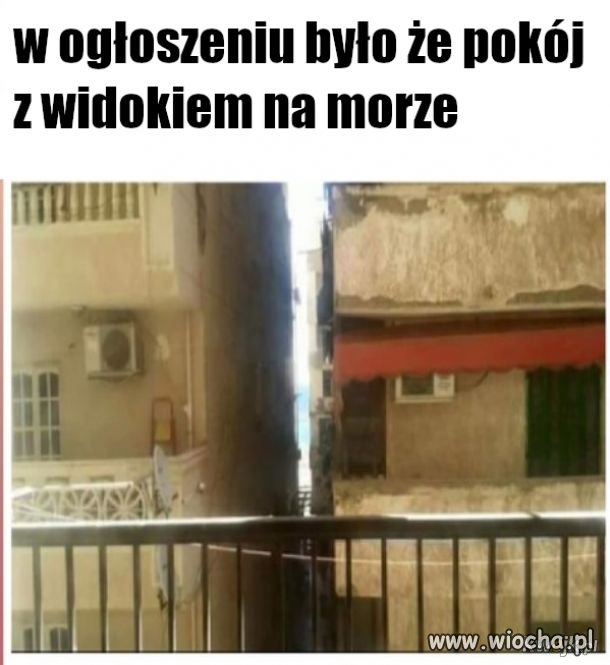 Wczasy z widokiem.