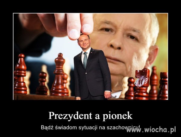 Szachy. 
