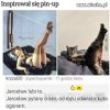 Jarosław...