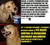 Macie chłopaki, to o was.