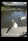 A szefie poratuje pan złotówką ?