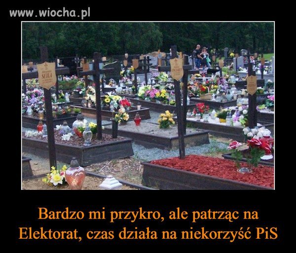 Sam jestem w wieku "poborowym"