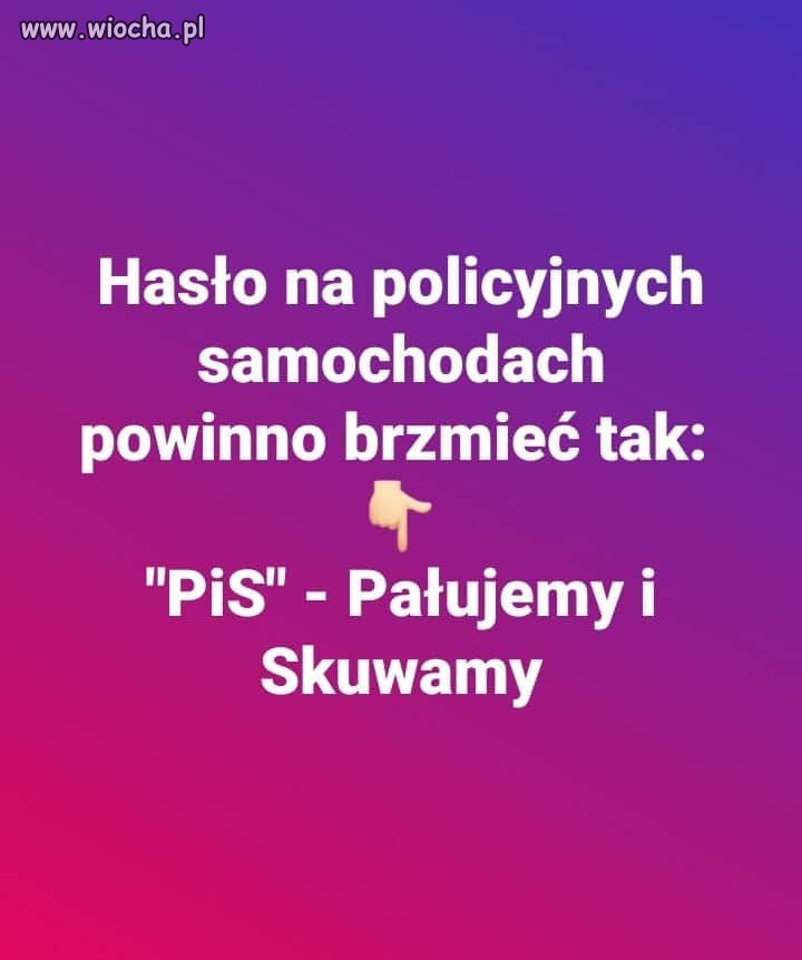 Pisowska