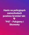 Pisowska