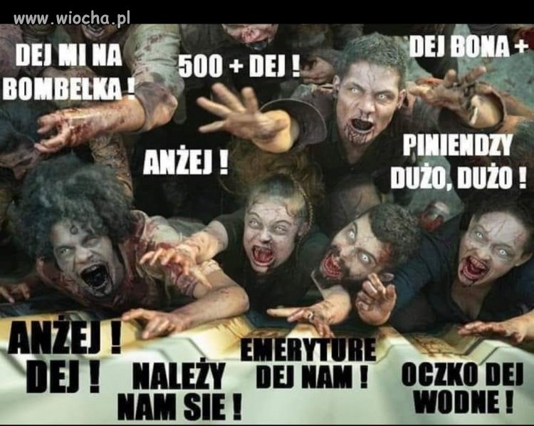 Wyborcy 