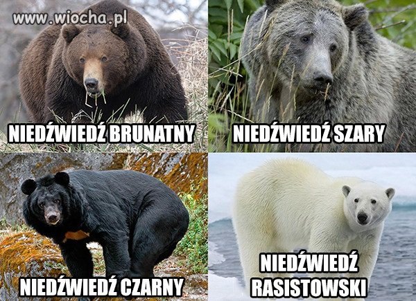 Tak to właśnie wygląda 